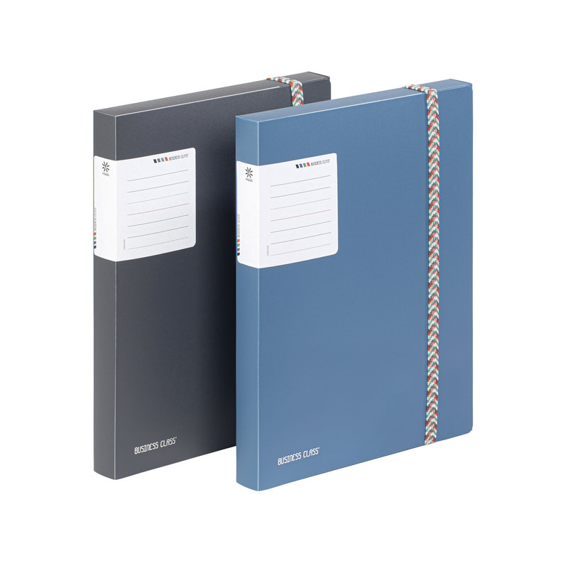 Ref. VIQ20841505, Boîte de classement A4 dos 3 Business class' - Coloris Aléatoires, Assorties, marque VIQUEL