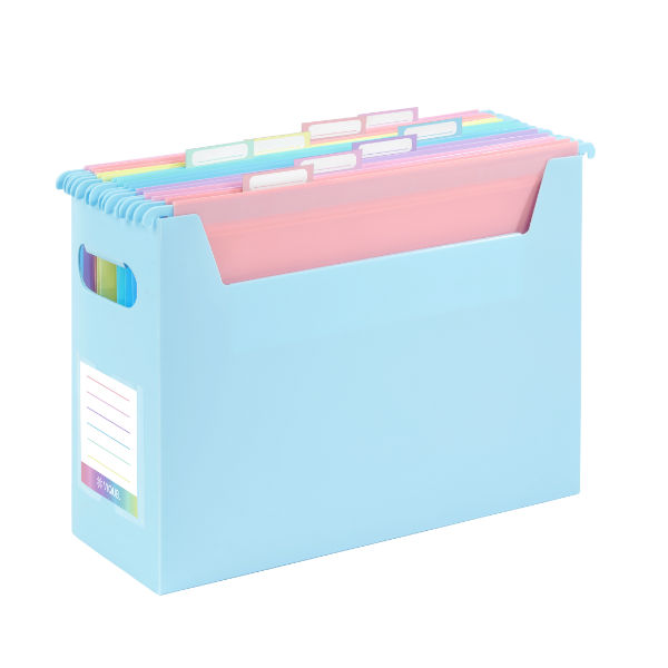 Image de  Boîte garnie de 8 dossiers suspendus easycase A4 Rainbow Pastel 