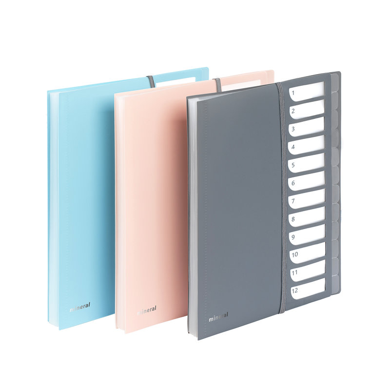 Ref. VIQ98812505, Trieur extensible A4 12 compartiments Mineral - Coloris Aléatoires, Assorties, marque VIQUEL