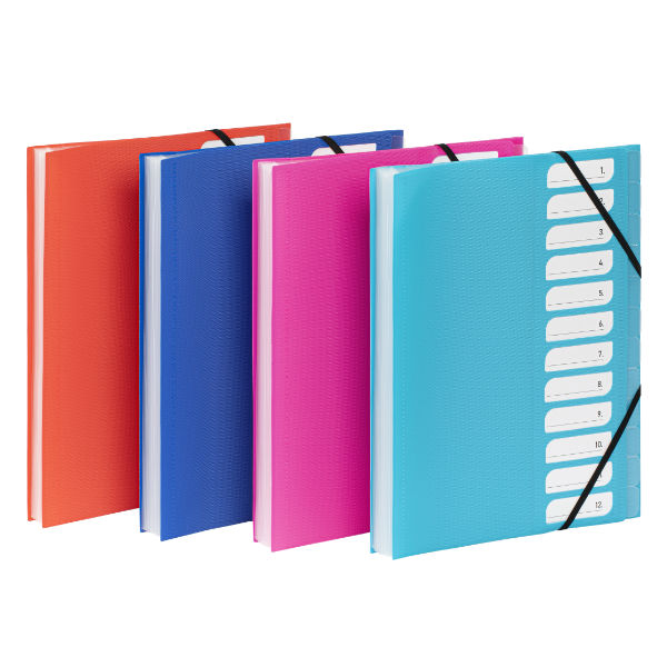 Image de  Trieur extensible A4 12 compartiments Feel'Easy 